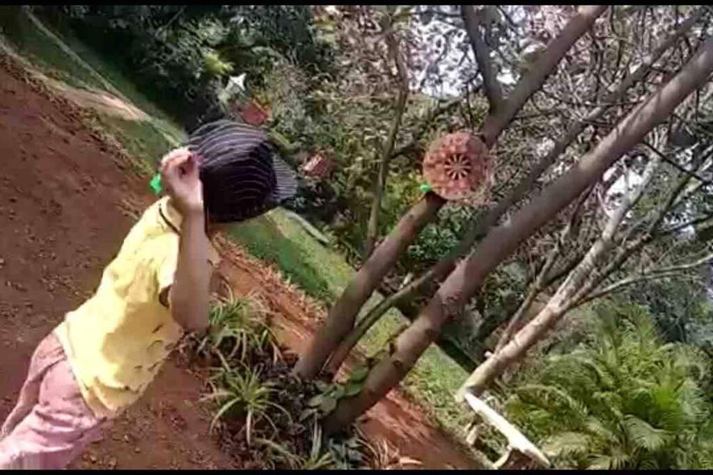 Lobville Homestay Karjat Ngoại thất bức ảnh