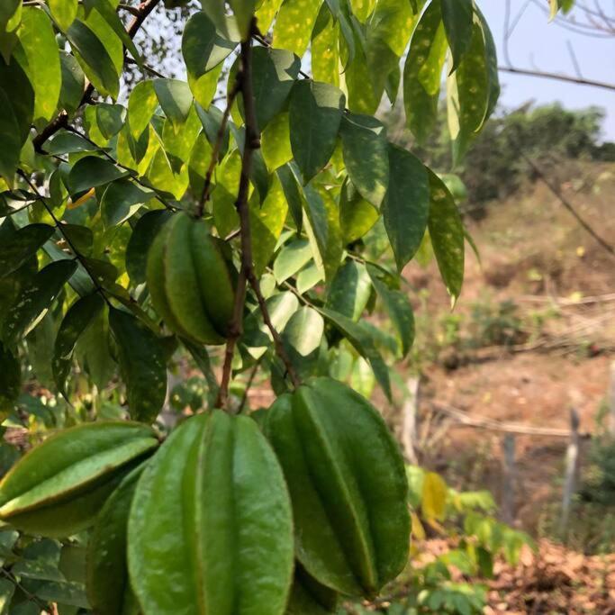 Lobville Homestay Karjat Ngoại thất bức ảnh
